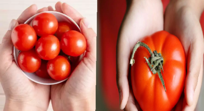 Tomato Side Effects In Tamil