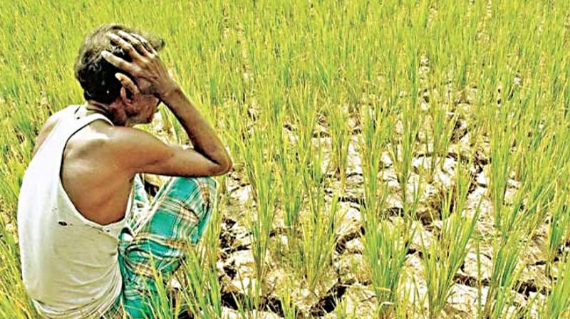 New Scheme For Farmers | Farmer Government Scheme