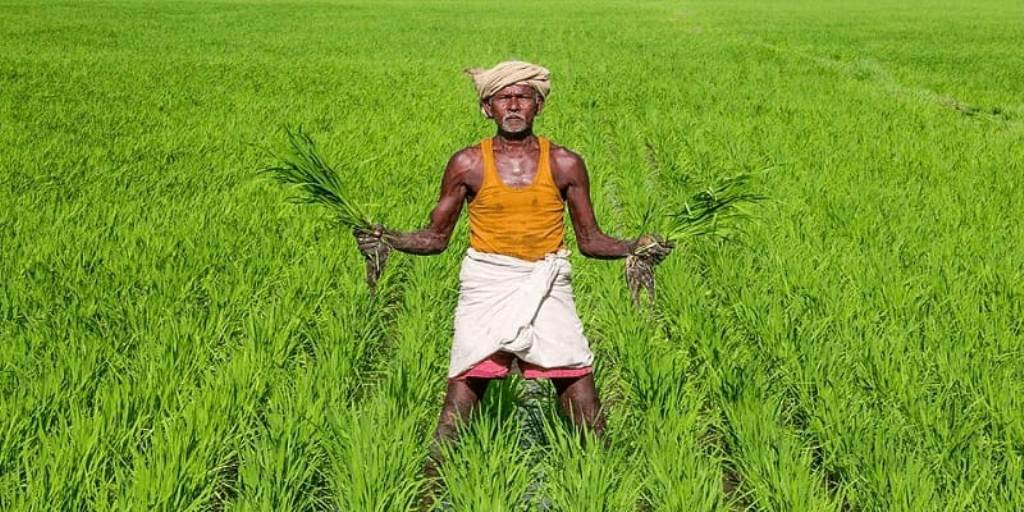 Best Business Ideas In Tamil | Business Ideas In Tamil Nadu