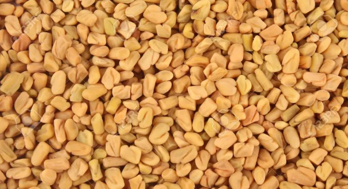Fenugreek Health Benefits