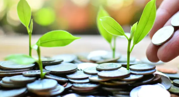 Information About PPF Investment