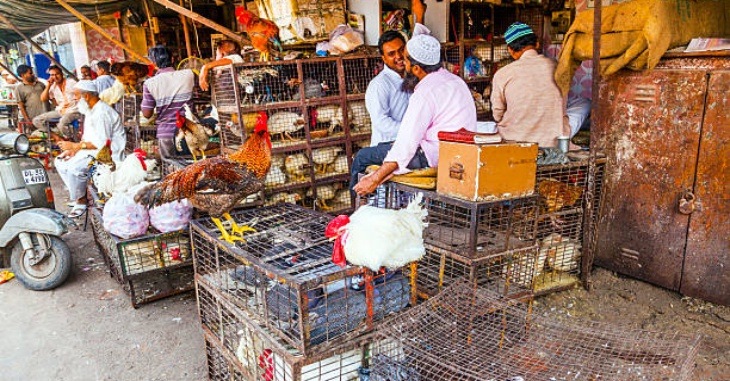 Chicken Shop Business Ideas Tamil