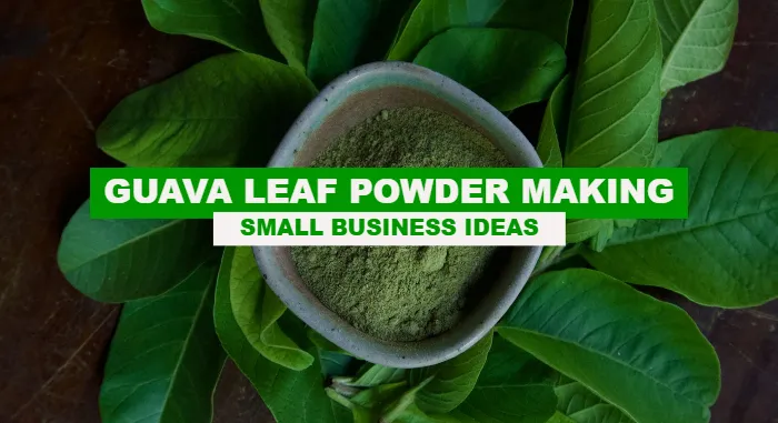 Guava Leaf Powder Making