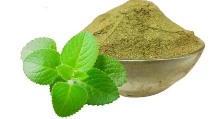 Ajwain Powder