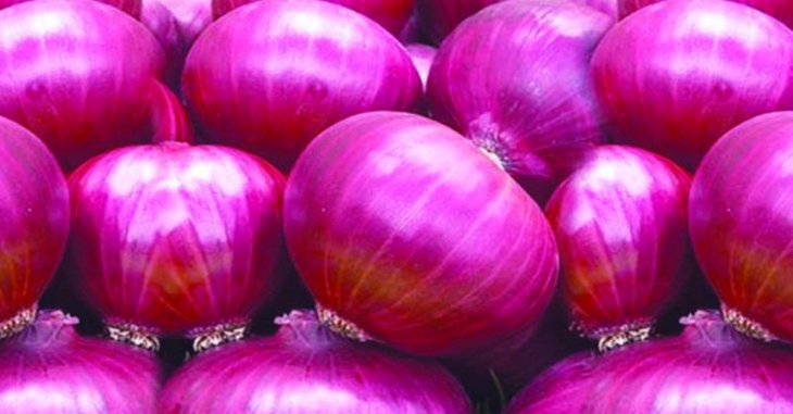 Onion Shop Business Ideas Tamil