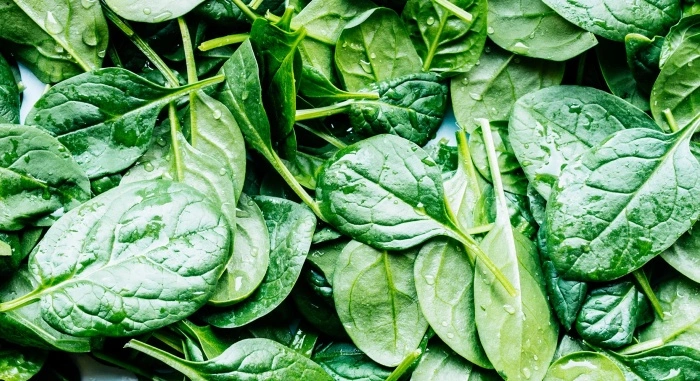 Spinach Business Tamil