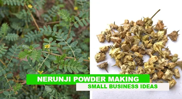 Nerunji Powder