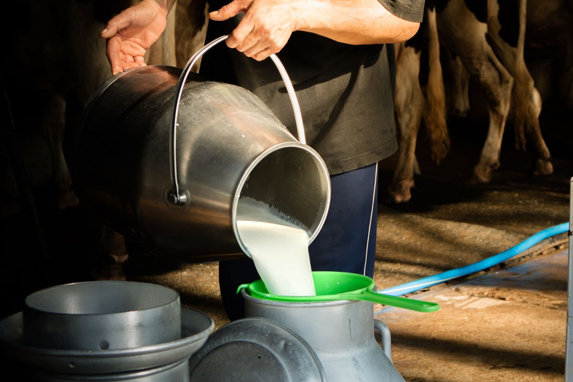 milk business ideas