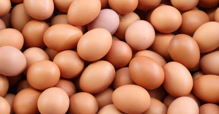 Chicken Egg Problem | Business News In Tamil