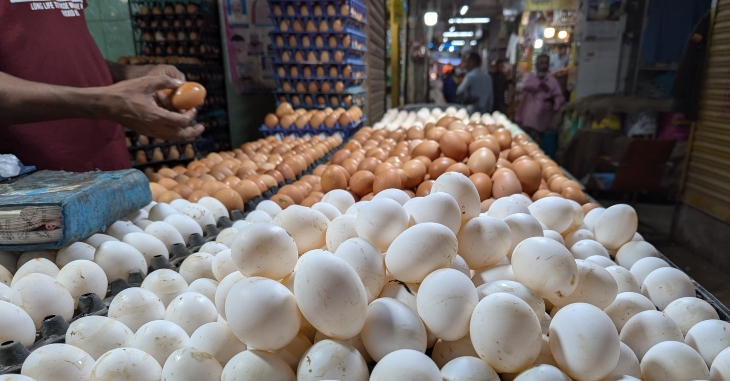 Egg Shop Business Ideas Tamil