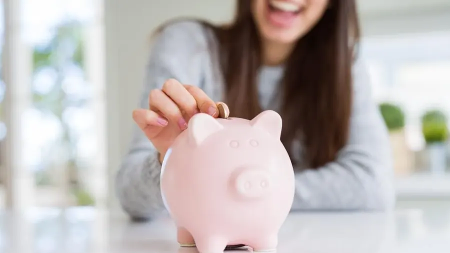 Which Bank Gives Highest Interest For Normal Savings Account