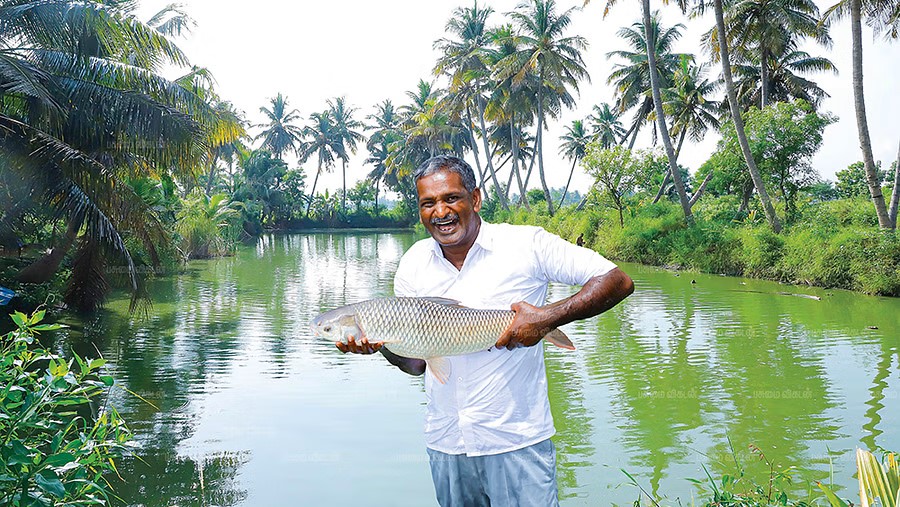 Fish Farming Business Plan | Organic Farming Business Plan In Tamil