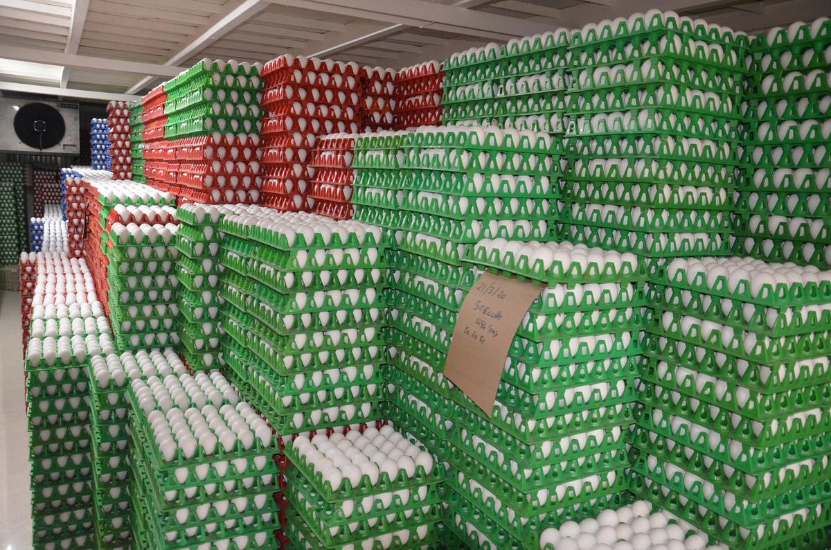 Today Egg Price In Namakkal | Business News In Tamil
