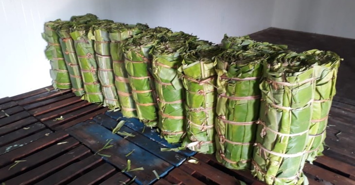 Banana Leaf Business | best business ideas in village​